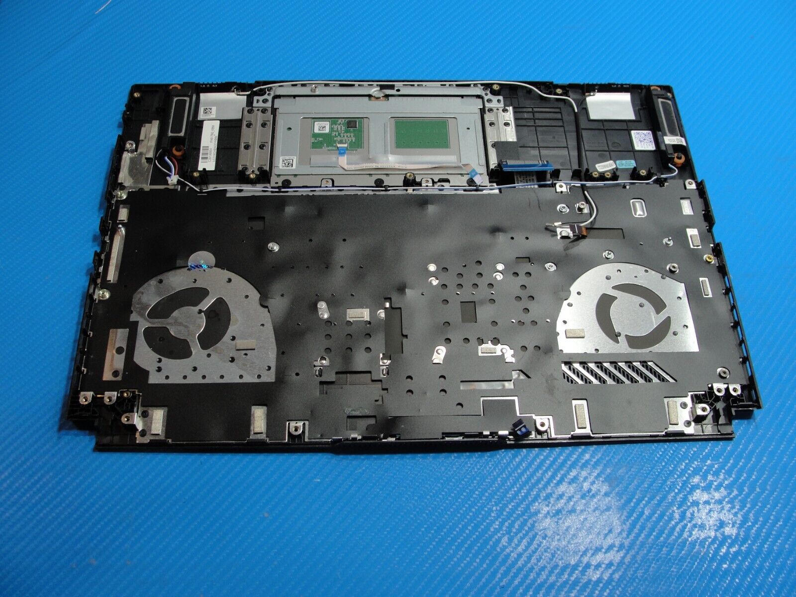 Asus A16 FA617NS-A16.R77600 16