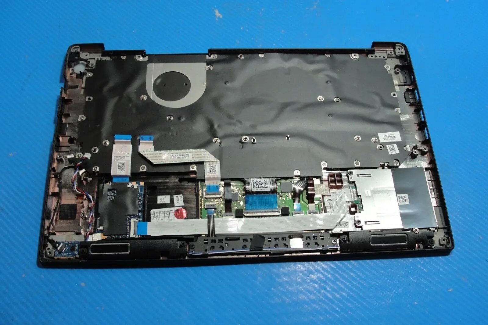 Dell Latitude 14