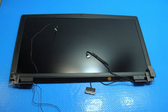 Sager Clevo P770DM 17.3" Matte FHD LCD Screen Complete Assembly Grade A