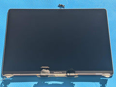 MacBook Pro 16" A2141 Late 2019 MVVJ2LL LCD Screen Assembly Gray 661-14200 AS IS