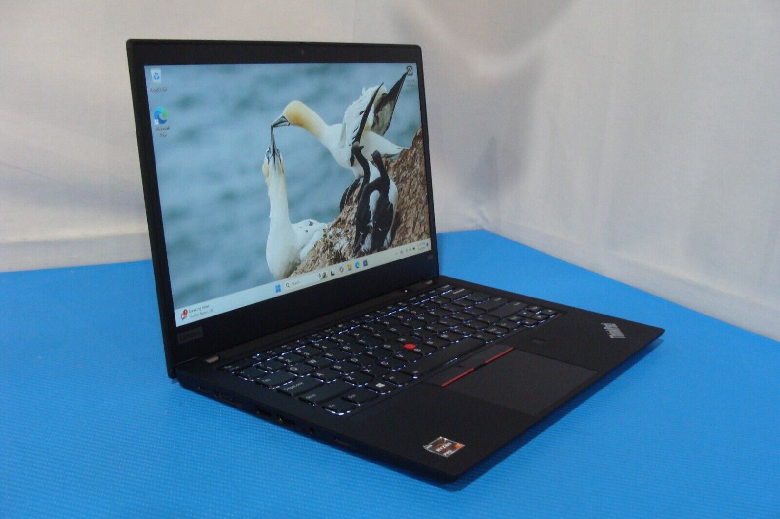 Lenovo ThinkPad T495 14