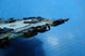 Product image thumbnail 7