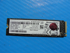 Lenovo T14 WD 256GB NVMe M.2 SSD Solid State Drive SDBQNTY-256G-1001 5SS0V26411