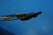 Product image thumbnail 4