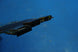 Product image thumbnail 6
