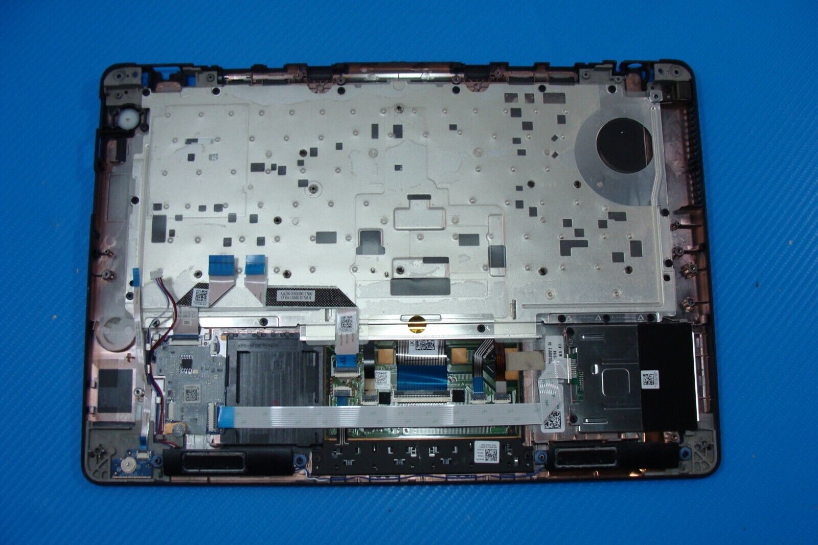 Dell Latitude 14