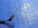Product image thumbnail 3