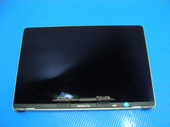 MacBook Pro 13" A1708 2017 MPXR2LL MPXU2LL LCD Screen Assembly 661-07971 AS IS