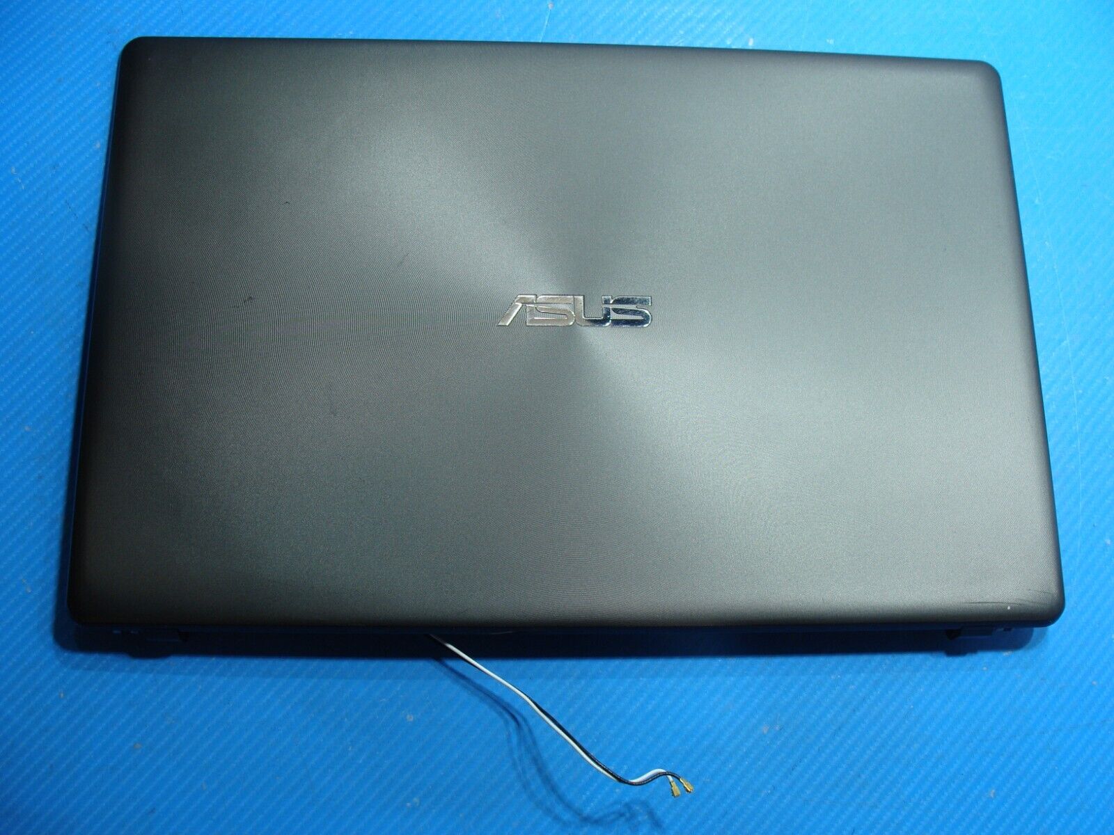 Asus 15.6