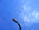 Product image thumbnail 4