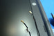 Product image thumbnail 4