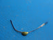 Product image thumbnail 1