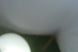 Product image thumbnail 7