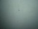 Product image thumbnail 6