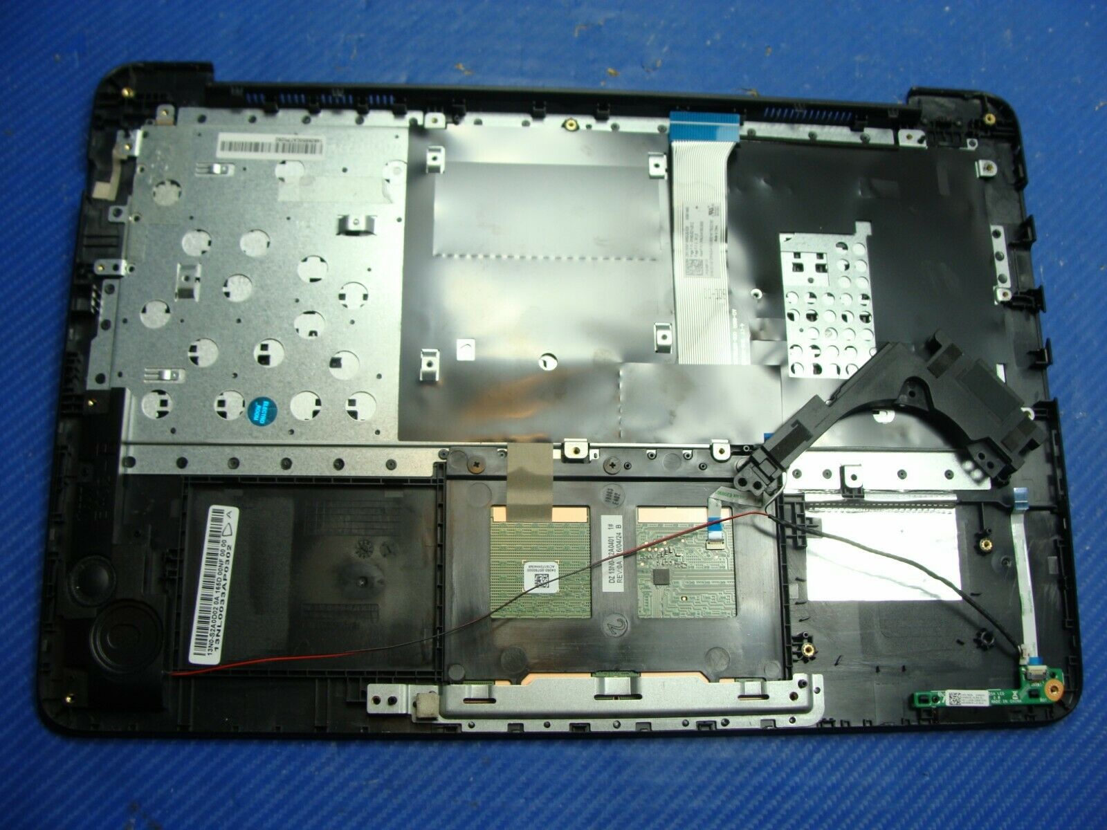 Asus 14