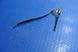 Product image thumbnail 2