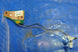 Product image thumbnail 2