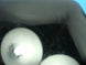 Product image thumbnail 6
