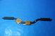 Product image thumbnail 1