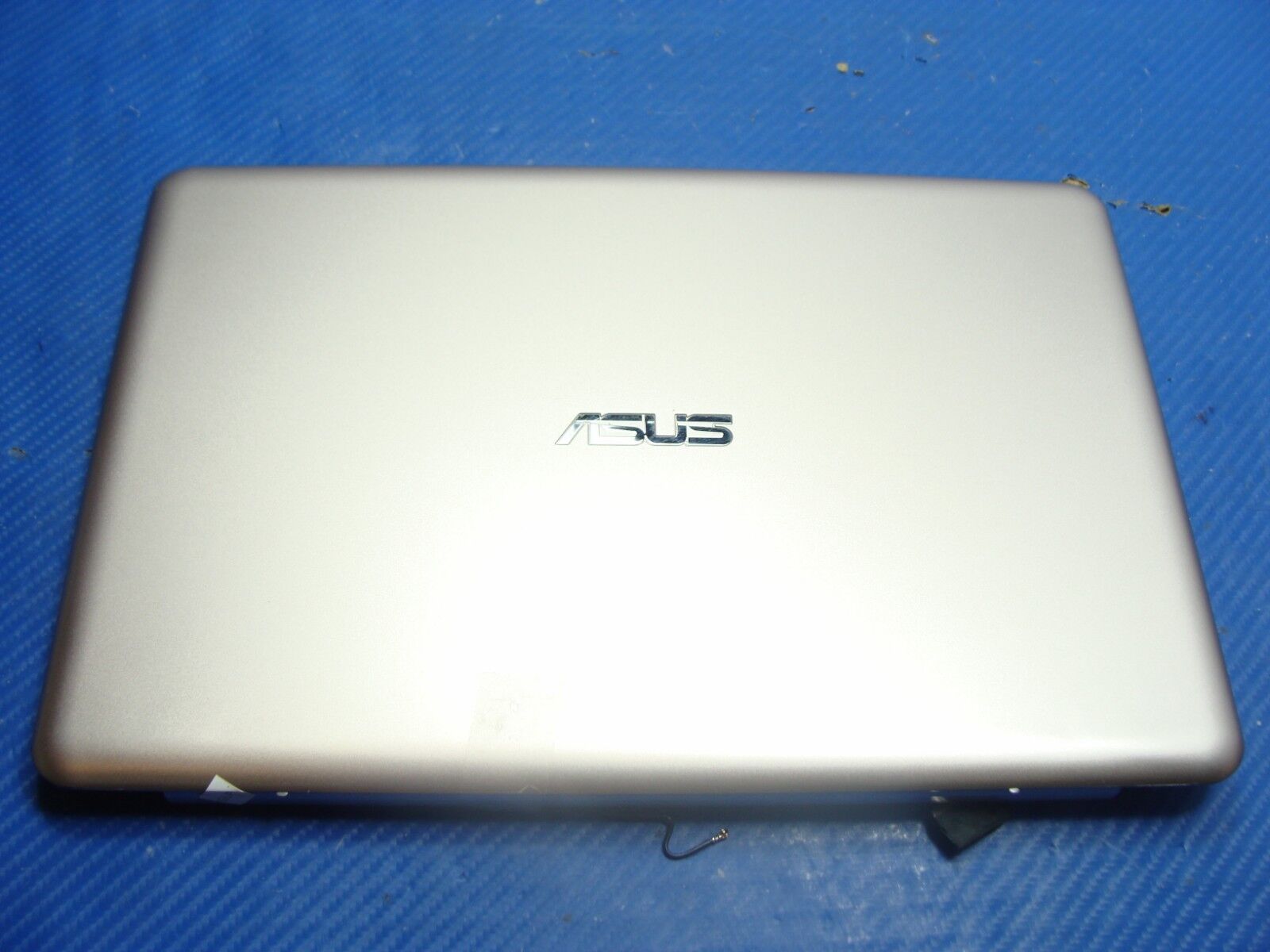 Asus VivoBook 11.6