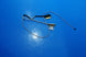 Product image thumbnail 1