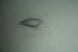 Product image thumbnail 6