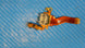 Product image thumbnail 1