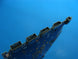 Product image thumbnail 3