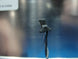 Product image thumbnail 3
