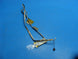 Product image thumbnail 2