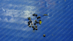 Asus Eee Pad Transformer TF201 10.1" Screw Set Screws for Repair ScrewSet ER* - Laptop Parts - Buy Authentic Computer Parts - Top Seller Ebay