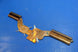 Product image thumbnail 2