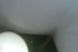Product image thumbnail 6