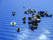 Product image thumbnail 2