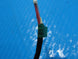 Product image thumbnail 3