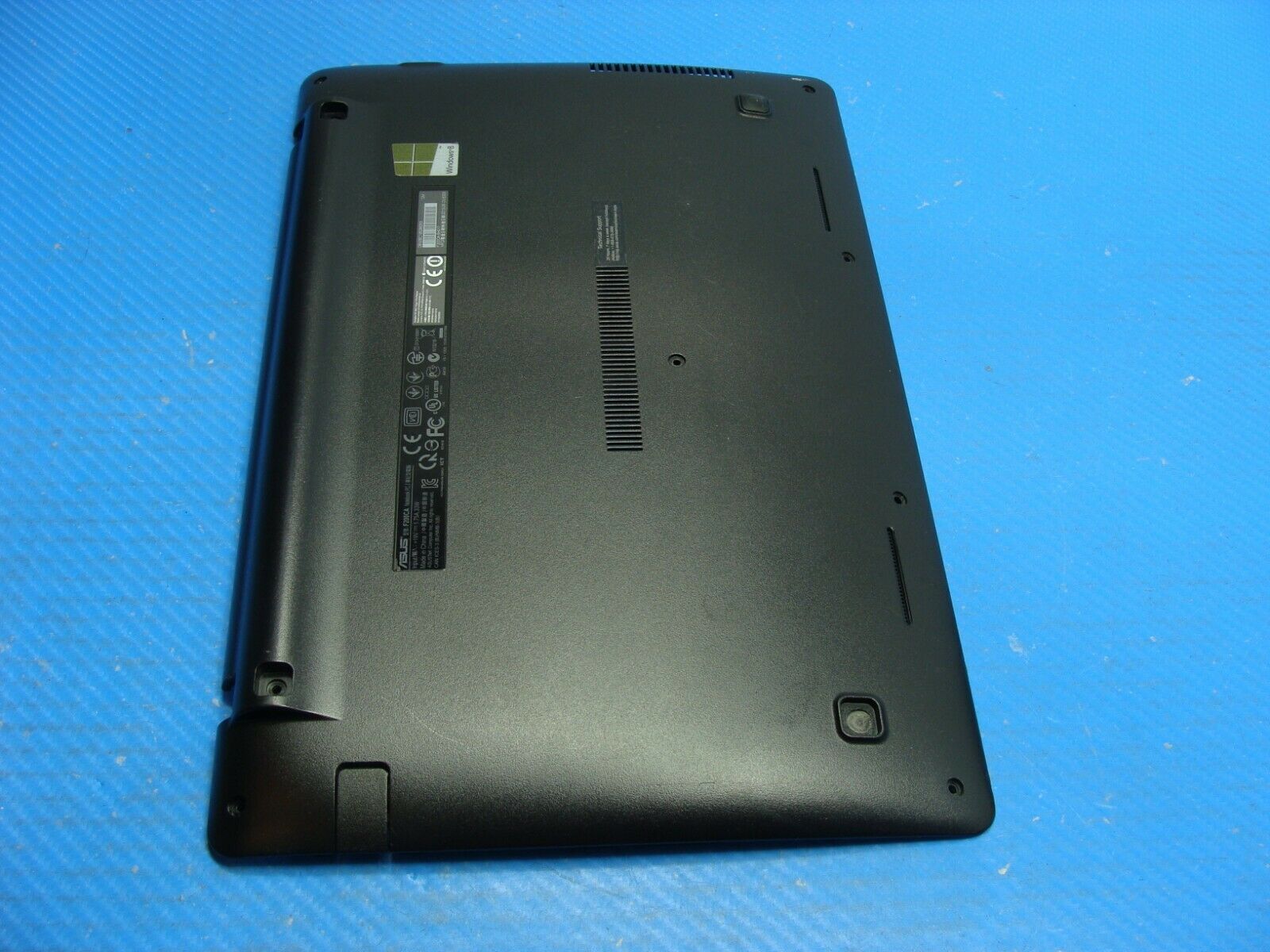 Asus 11.6