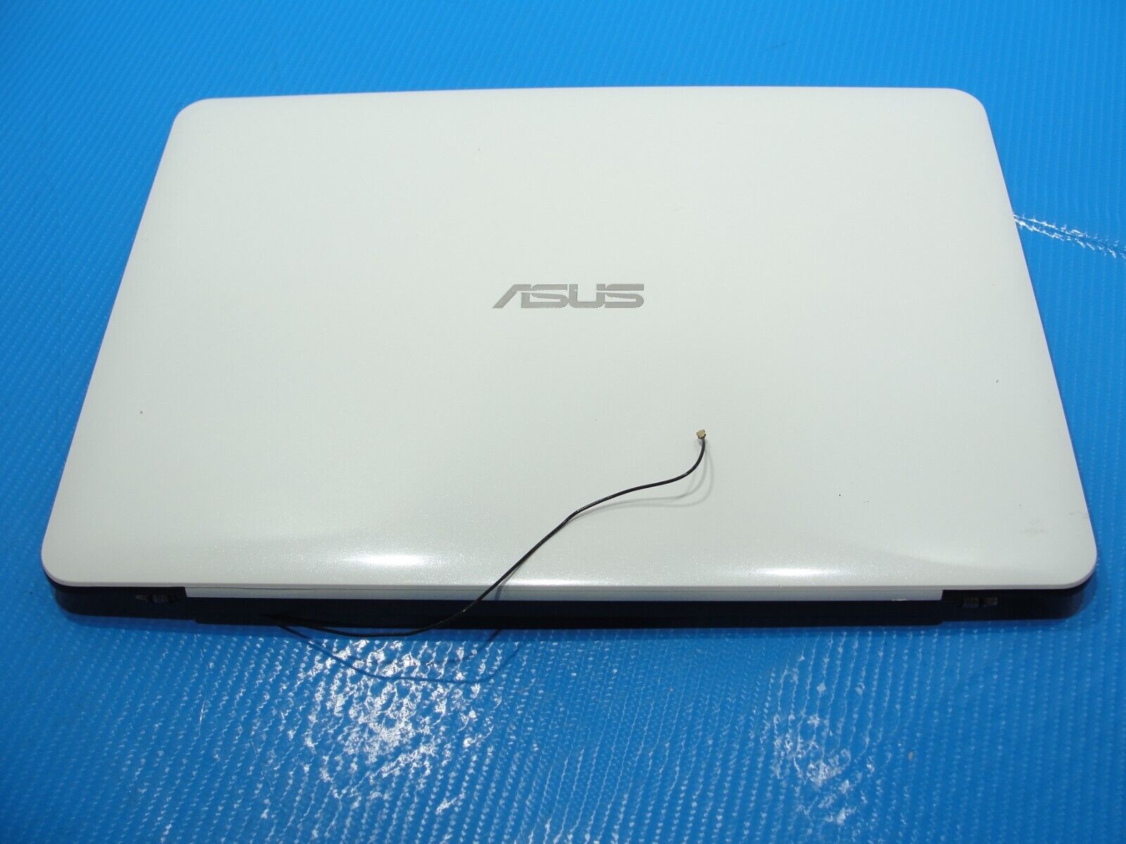 Asus 14