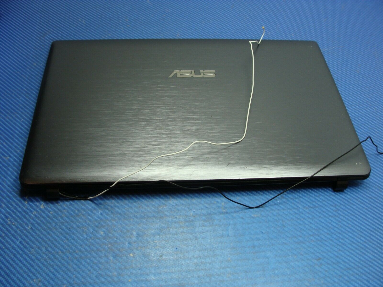 Asus 15.6