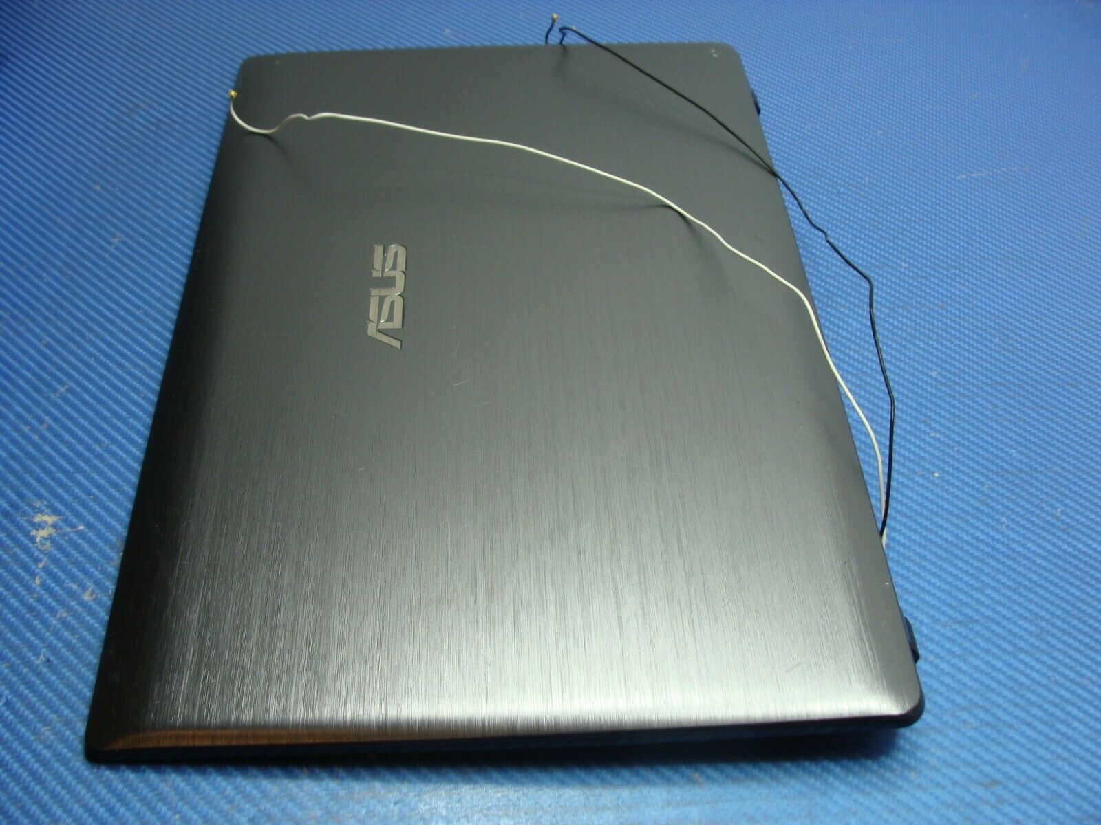 Asus 15.6