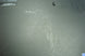 Product image thumbnail 8