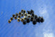 Product image thumbnail 1
